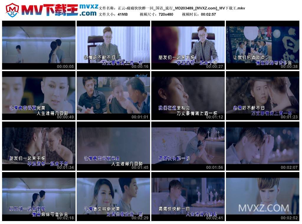 正云-痛痛快快醉一回_国语_流行_MD203489